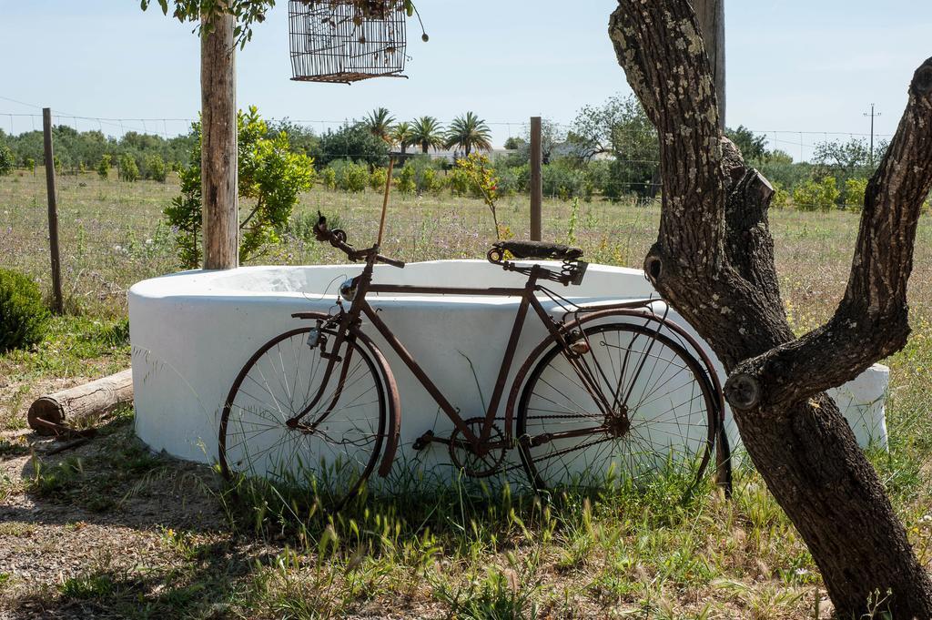 Гостьовий будинок Pensao Agricola Кабанаш-де-Тавіра Екстер'єр фото