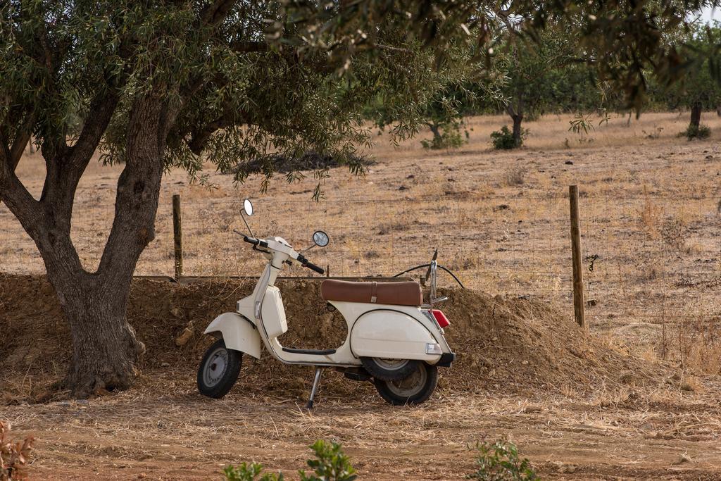 Гостьовий будинок Pensao Agricola Кабанаш-де-Тавіра Екстер'єр фото